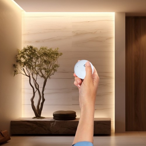 ufo-zestaw-sterownik-rf-i-wylacznik-ze-sciemniaczem (2).jpg