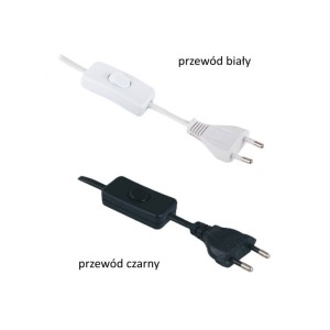PRZEWÓD Z WYŁĄCZNIKIEM I Z WTYCZKĄ